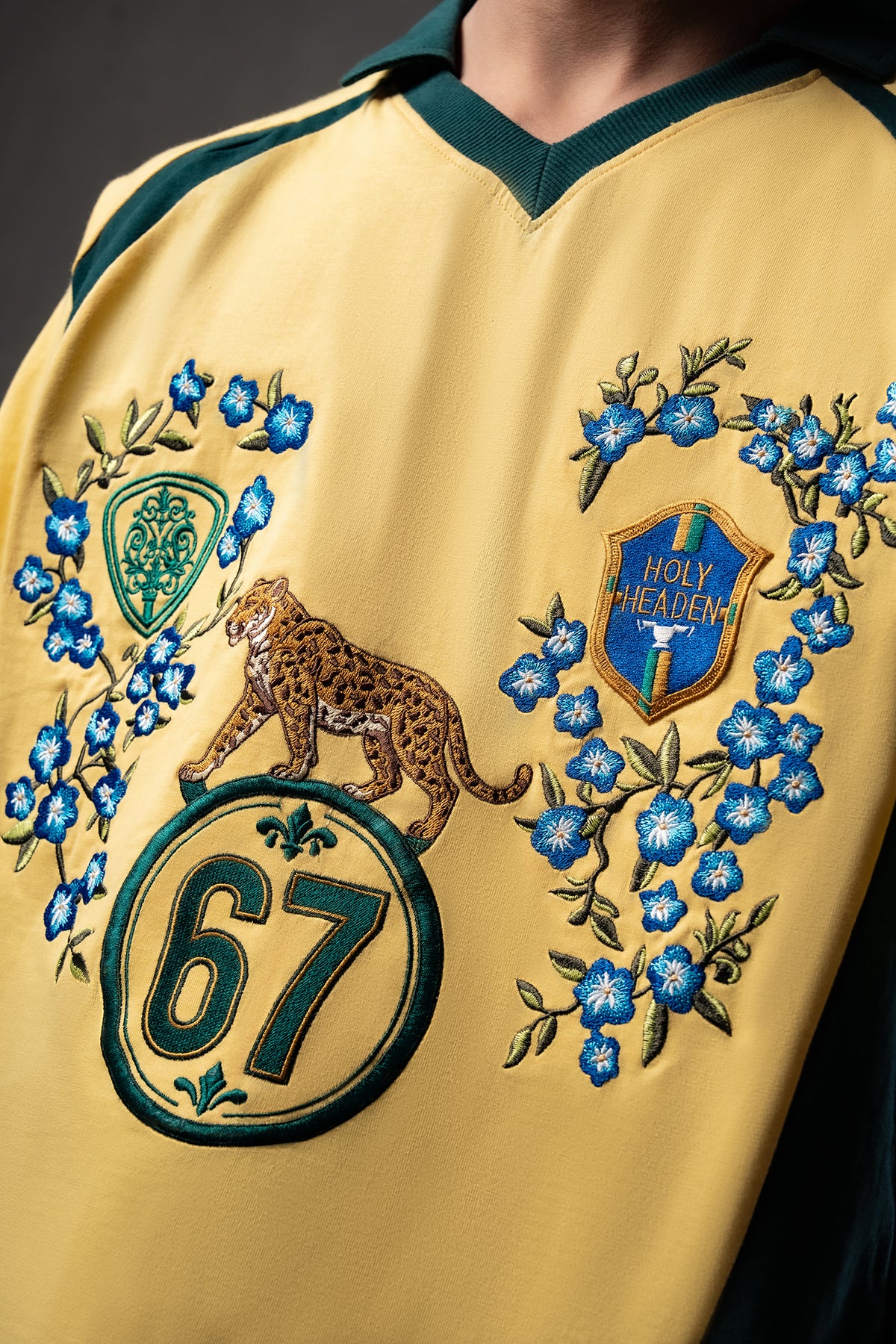 JAGUARS OF BRAZIL
